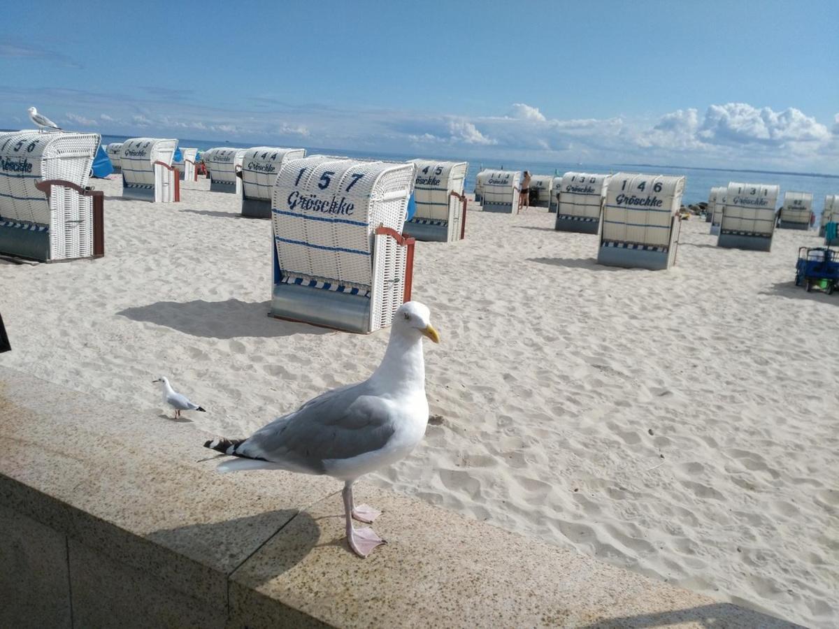 Ostsee Fewo By Wolf Gromitz Bagian luar foto